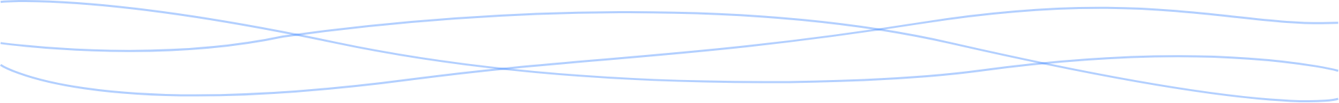 section divider